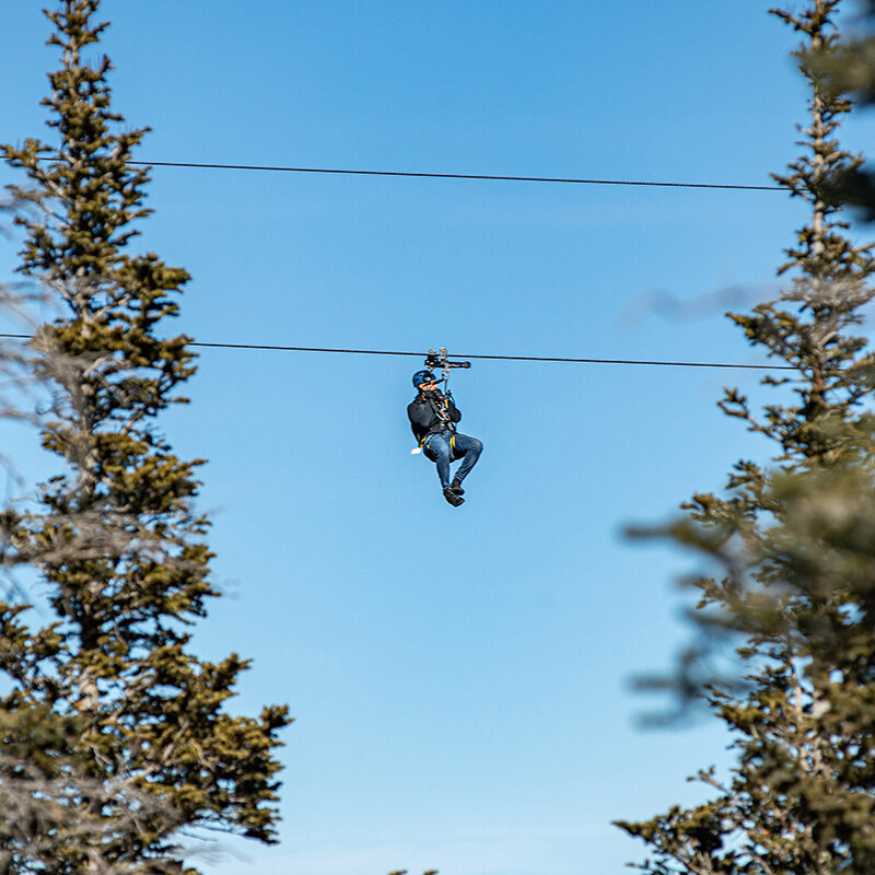 Zip Line